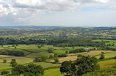 Upper Marshwood Vale